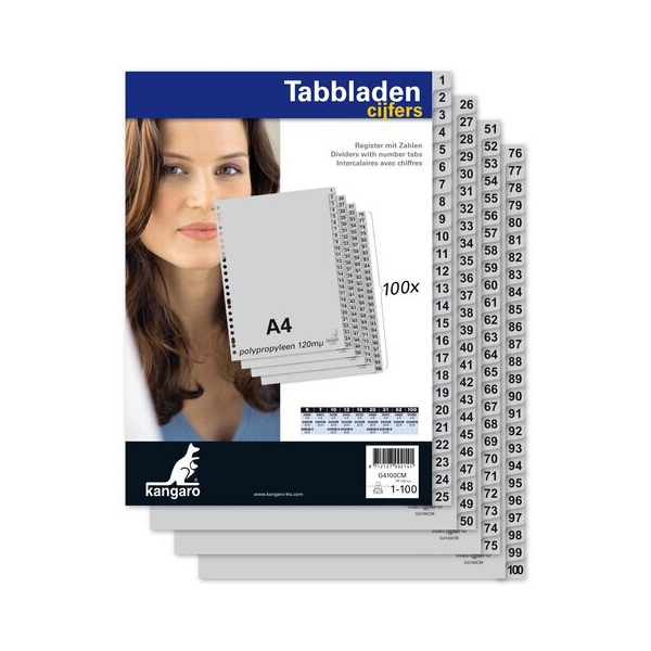 Alpedia Kunststoffregister G4100CM 8712127002141 Alpedia