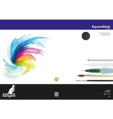 Aquarellpapier A2 300g 12 Blatt schwarz