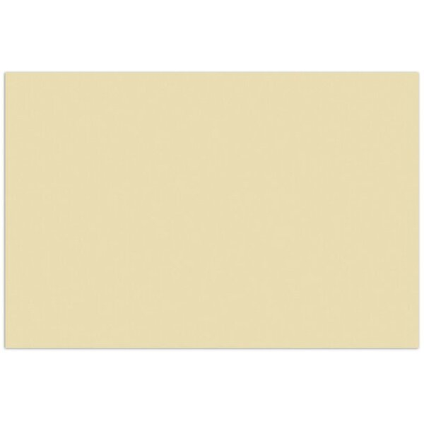 Alpedia Fotokarton K-0045-510, chamois 8712127091992 Alpedia