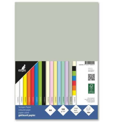 Kopierpapier K-0043P006 pastellgrau