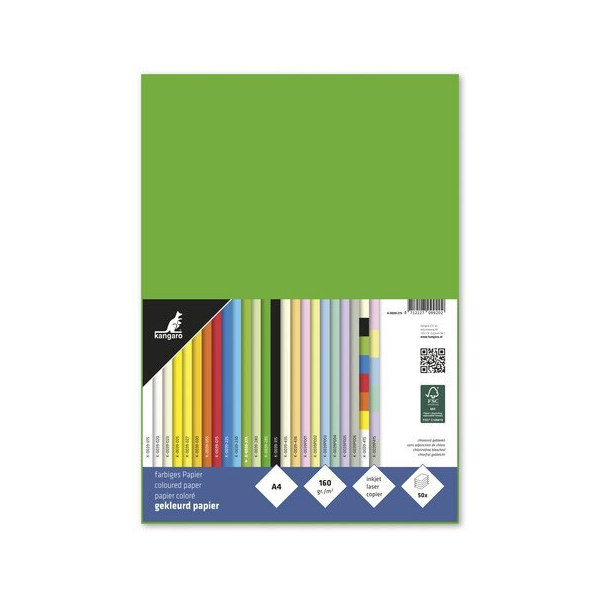 Alpedia Tonpapier A4 160g grün 50 Blatt 8712127099202 Alpedia