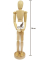Gliederpuppe 30cm natural