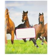 Notizbuch K-5518, mehrfarbig, A5, liniert, 80g, 18 Blatt / 36 Seiten