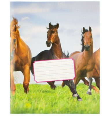 Notizbuch K-5518, mehrfarbig, A5, liniert, 80g, 18 Blatt / 36 Seiten