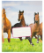 Notizbuch K-5518, mehrfarbig, A5, liniert, 80g, 18 Blatt / 36 Seiten