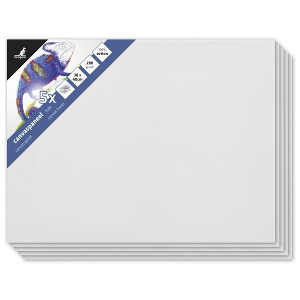 Alpedia Leinwand 30x40cm Set 5 Stück 3mm 8712127145657 Alpedia 5 Stück
