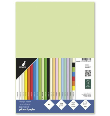 Kopierpapier K-0043F280 intensivgr&uuml;n A4 120g