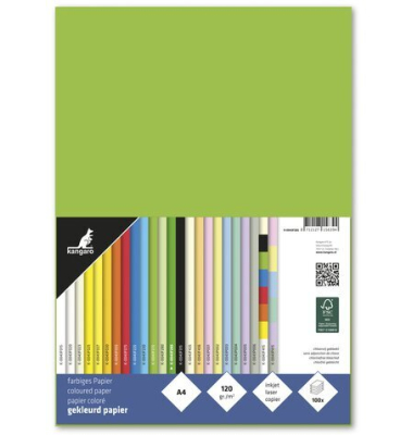 Kopierpapier K-0043F285 hellgr&uuml;n A4 120g