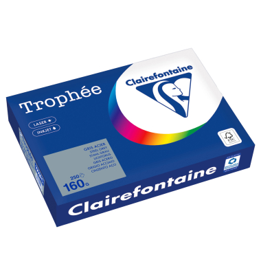 Kopierpapier Trophee 1009C stahlgrau pastell A4 160g