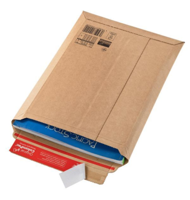 Versandtaschen CP010.05, 250x340x50mm, braun