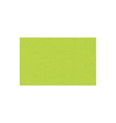 Buntkarton B&auml;hr 1109651, 300g, 50x70cm, hellgr&uuml;n