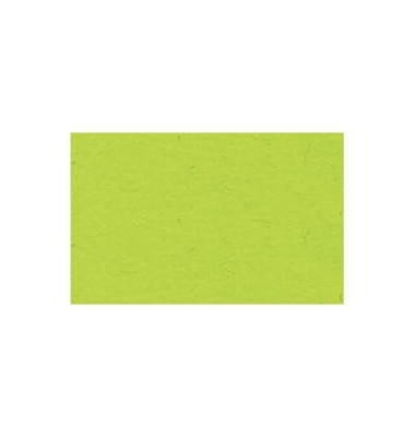 Buntkarton B&auml;hr 1109651, 300g, 50x70cm, hellgr&uuml;n