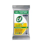 Pro Formula Reinigunst&uuml;cher Clean & Shine, biologisch abbaubar