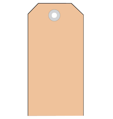 Anh&auml;ngezettel mit Kunststoff&ouml;se braun 60 x 113mm 6018