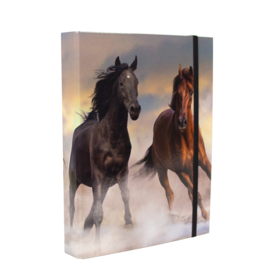 Heftbox Kids - Einzelmotive 2056500-05, A4 mehrfarbig, 4cm F&uuml;llh&ouml;he, Karton papierkaschiert