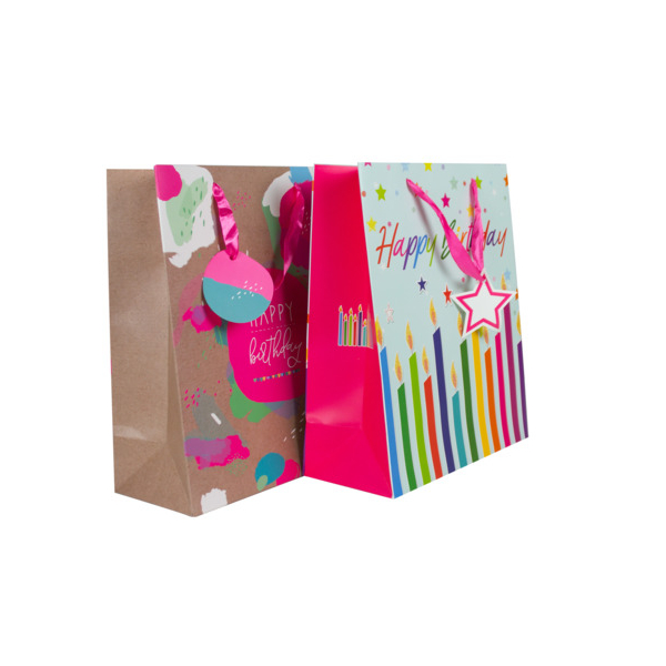 12 Stück Donau Geschenktasche 58666, Geburtstag, 260mm x 320mm 9004546586661 Donau
