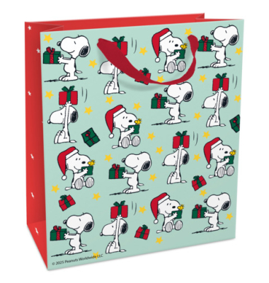 Geschenktasche 1668-26564, 180mm x 210mm