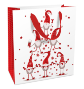 Geschenktasche 1682-26511, 180mm x 210mm