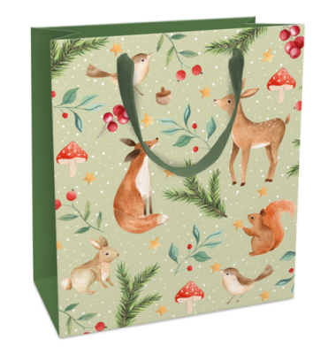 Geschenktasche 1642-26523, 180mm x 210mm