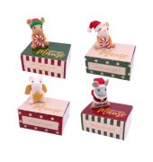 Weihnachtlicher  Geldgeschenkschachtel sortiert