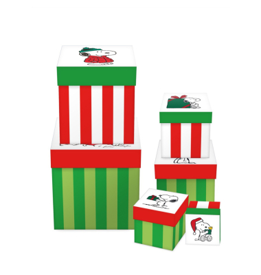 Weihnachtlicher Geschenkkarton Snoopy