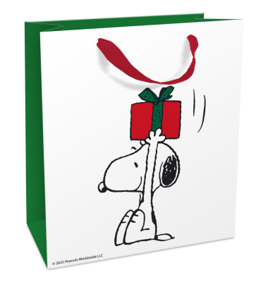 Geschenktasche 1668-26554, 180mm x 210mm