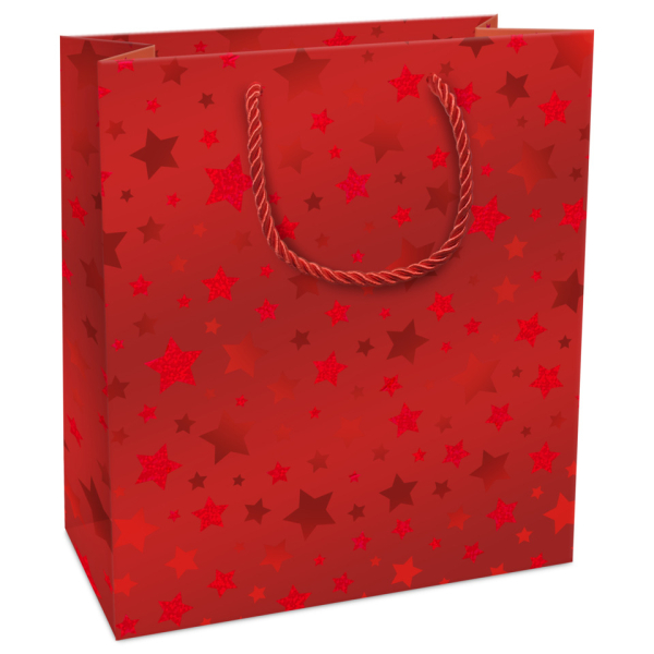 8 Stück Braun und Company Geschenktasche 1692-26510, 180mm x 210mm 4014995962959 Braun und Company