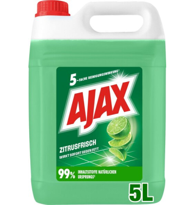 Allzweckreiniger 15202044, 5 Liter