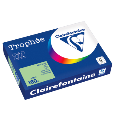Kopierpapier Troph&eacute;e Color 1107PC A4 160g gr&uuml;n