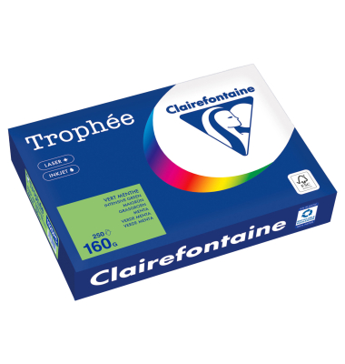 Kopierpapier Troph&eacute;e Color 1025PC A4 160g maigr&uuml;n