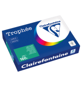 Kopierpapier Trophee 1019PC tannengr&uuml;n intensiv A4 160g