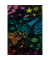 Buntstifte-Set STABILO woody 3 in 1 + PASTEL, 880/18-4, farbig sortiert +pastell, rund, jumbo, Packung
