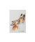 Notizbuch 26082-15, Save me, mehrfarbig, A5, punktiert, 70g, 64 Blatt / 128 Seiten