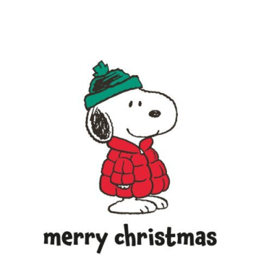 Weihnachtsservietten 1113-26556, mehrfarbig / Snoopy, 3-lagig, 33x33cm