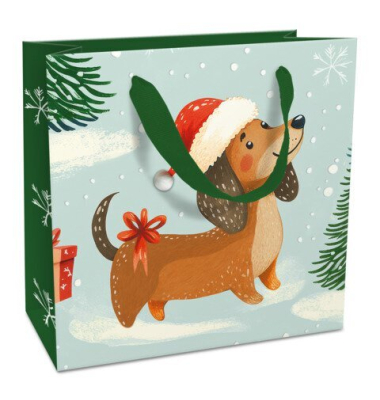 Geschenktasche 1695-26507, 170mm x 170mm