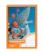 Vokabelheft 2409 Schul- Standardheft-Serie, Lineatur 54 / liniert / 3 Spalten, A5, 70g, orange, 32 Blatt / 64 Seiten