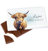 Schokolade Lucky Friends, 40 g, sortiert F&Uuml;R DICH 404800