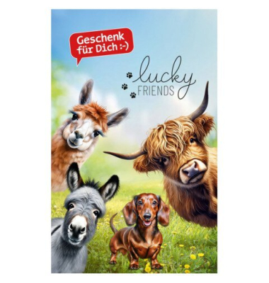 Poster Banner Friends F&Uuml;R DICH 999887 80x45cm