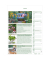 Bildkalender 103483, Das Gartenjahr, 1 Monat / 1 Seite, 23,7x34cm (23,7x34cm), 2025