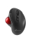 Trackball Funkmaus kabellos Ergo USB-C