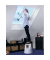 Rollhocker KF01003 Trittboy, 1x 2 Stufen, lichtgrau, Kunststoff