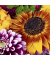 Motivservietten 207454 / Blumen im Sp&auml;tsommer, 3-lagig, 33x33cm