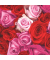 Motivservietten 212023, rot/rosa / Rosen, 3-lagig, 33x33cm