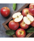 Motivservietten 227331 / Herbst, 3-lagig, 33x33cm