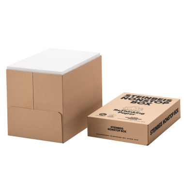 Recyclingpapier No. 4 (ehem.: Evolution White) K1701666080C A4 80g wei&szlig; 100er Wei&szlig;e 