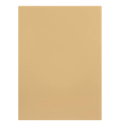Aktendeckel 100091650 chamois Karton 250g