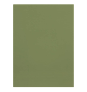 Aktendeckel 100091652 gr&uuml;n Karton 250g
