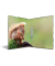 Ringbuch Animals Waldtiere 19477, A4 2 Ringe 25mm Ring-&Oslash; Karton bunt