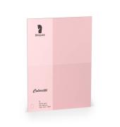 Briefkarten 220770523 A5 105mm x 148mm (BxH) 225g planliegend rosa