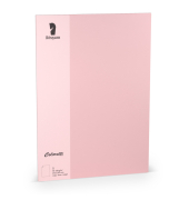 Briefpapier 220712523, rosa, A4, 220g